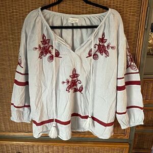 Velvet Pinstripe Top w/ Red Embroidery & Beading (Sold at Anthropologie)